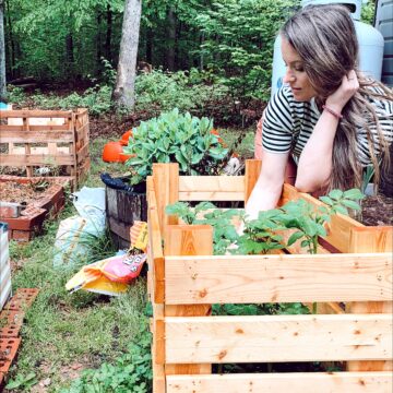 women in front of DIY potato crate in garden